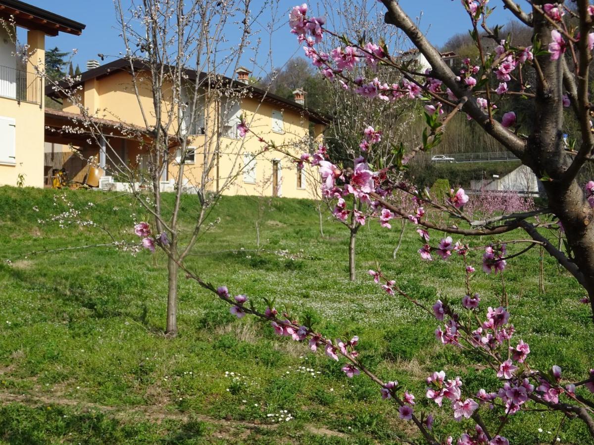 Cascina Legnago Trilocale A 6 Chilometri Da Salo' Apartment Villanuova sul clisi Exterior photo