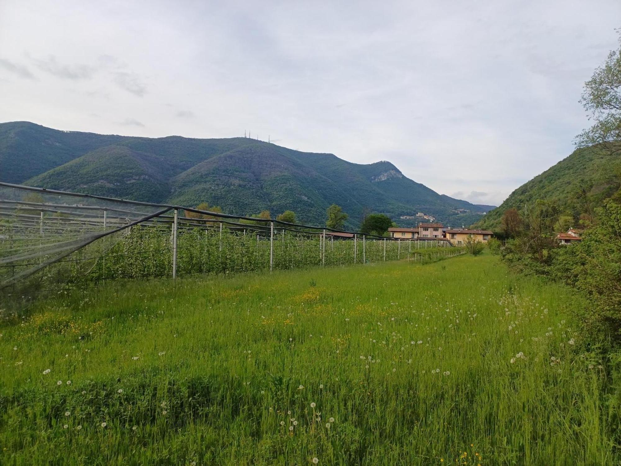 Cascina Legnago Trilocale A 6 Chilometri Da Salo' Apartment Villanuova sul clisi Exterior photo